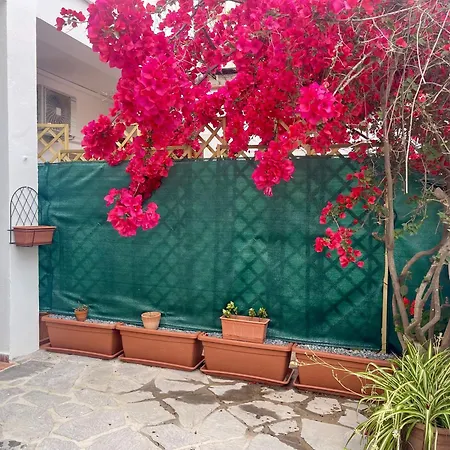 Le Calle Homes Όλμπια
