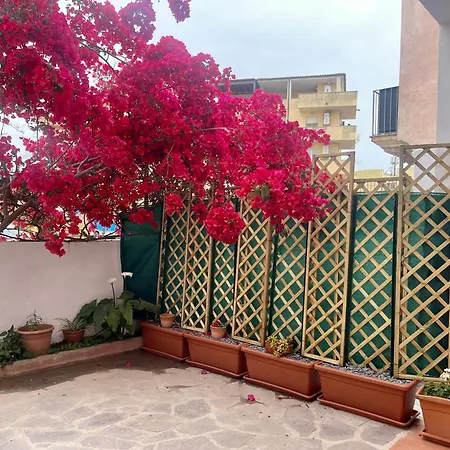 Le Calle Homes Όλμπια