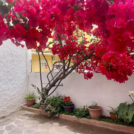 Le Calle Homes * Όλμπια