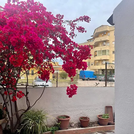 Le Calle Homes * Olbia